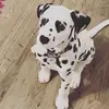 loganleger771 - @loganleger771 - TikTok