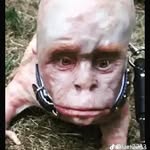 Logan LeMay - @logan.lemay25 - Instagram