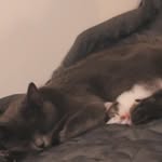 logan - @loganflippinglemay - Instagram