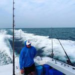 Logan Levander - @logan_levander - Instagram