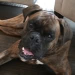 @loganlevine2 - Instagram