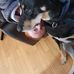 Logan Maloney - Facebook