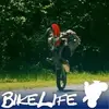 Logan Maloney - @loganmaloney7 - TikTok