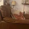 loganmapes92 - @loganmapes92 - TikTok