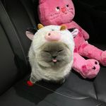 logan marquez - @unseenscores - Instagram