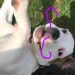 Logan Masters - @loganmasters6 - Instagram