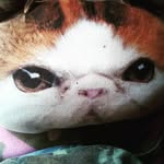 Logan Masters - @loganmasters0545 - Instagram