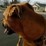 Logan Matlock - @logan.matlock.31 - Instagram