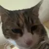 loganmaxwell61 - @loganmaxwell61 - TikTok