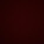 Logan Maynard - @ronni20000007 - Instagram