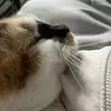 Logan Maynard - @logan.mjm - TikTok