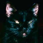 Logan Mays - @logan_mays2 - Instagram