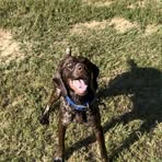 Logan Mcminn - Facebook