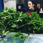 logan mcneely - @scare_crow_scorpio - Instagram
