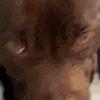 user7839915174659 - @logan.mcneely - TikTok