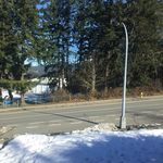 Logan McNeil - @logan_mcneil_ - Instagram
