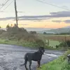 Logan_mc_nutt12 - @logan_mcnutt_0 - TikTok