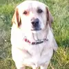 Logan Mcqueen - @logan.mcqueen6 - TikTok