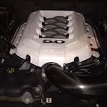 Logan McQueen - @logan.mcqueen.140 - Instagram