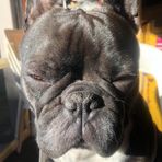 Logan Mears - Facebook