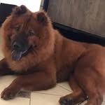 Logan - @logan_melo1 - Instagram