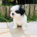 LOGAN🐾🍒 - @logan_melo2 - Instagram
