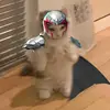 Logan Melo - @logman1105 - TikTok
