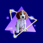 Mel & Logan Gregório Invernici - @loganmel_oficial - Instagram