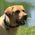 Logan Meyer - @logan.meyer.733 - Instagram