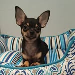 LOGAN - @logan_minichi - Instagram