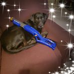 Logan Minich - Facebook
