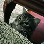 Logan Miranda - @loganmiranda__ - Instagram