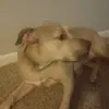 Logan miranda - @naulapaws - TikTok