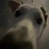 logan molina - @lmo1923 - TikTok