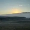 Logan Moncrief - @logan.moncrief5 - TikTok