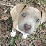 logan montes - @loganmontes - Instagram