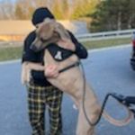 Logan Montes - @917.logan - Instagram