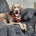 Logan Morency - @morency.logan - Instagram