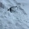 Logan - @logan.muller06 - TikTok