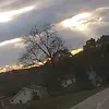 logan_munson - @logan_munson1 - TikTok