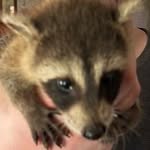 Logan P Munson - @loganmunson45 - Instagram