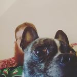 Logan Murphy - @lowgainmorefree - Instagram
