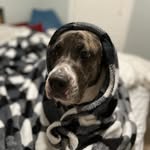 Logan Newton - @logannewton239 - Instagram