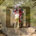 Logan Nicholas - Facebook