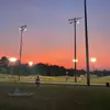 logannicholson36 - @logannicholson36 - TikTok