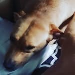 Logan Nickelson - @logan.nickelson - Instagram