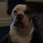 Logan NIXON - @logan_nixon69 - Instagram