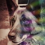 Logan Nowakowski - @nowakowskilogan - Instagram
