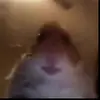 Logan Olson - @mr.yeet864 - TikTok