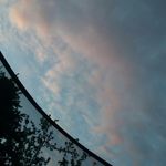 Logan Olson - @loganolson789 - Instagram